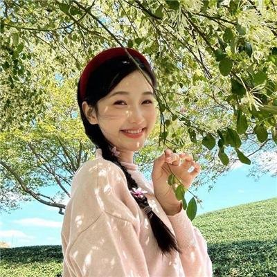 波士顿布莱奇中国历险记